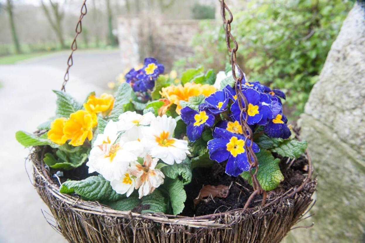 Bed and Breakfast Knole Farm Okehampton Esterno foto