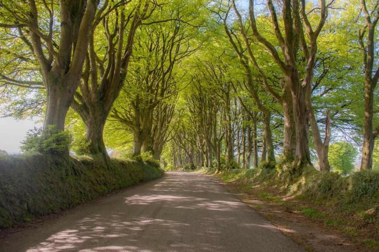Bed and Breakfast Knole Farm Okehampton Esterno foto