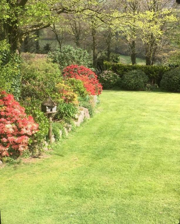 Bed and Breakfast Knole Farm Okehampton Camera foto